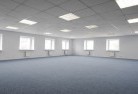 Guthaskylights-3.jpg; ?>